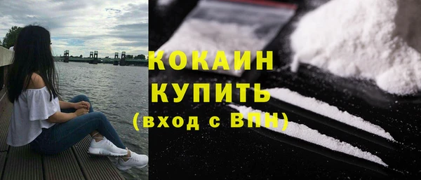 дживик Белокуриха