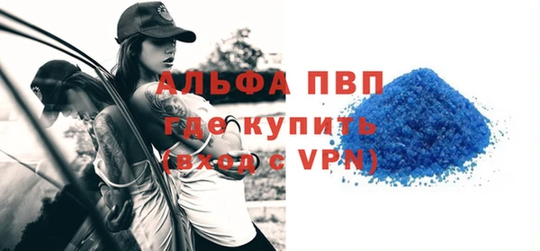 дживик Белокуриха