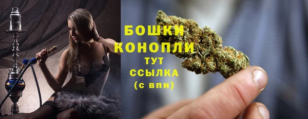 дживик Белокуриха