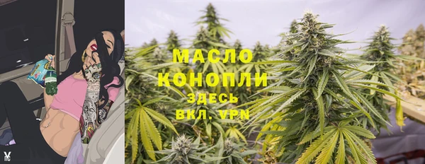 мдпв Богданович