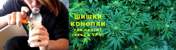 дживик Белокуриха